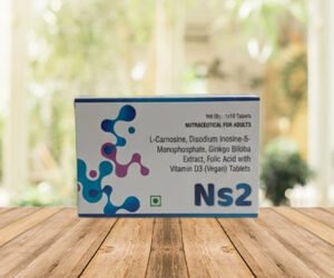 NS 2 TAB