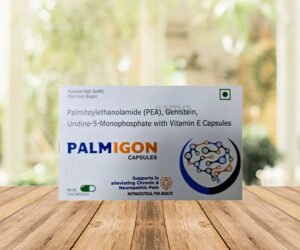 Palmigon Capsule