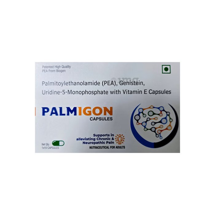 Palmigon Capsule