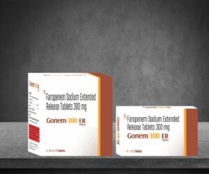 GONEM 300 ER TABLET