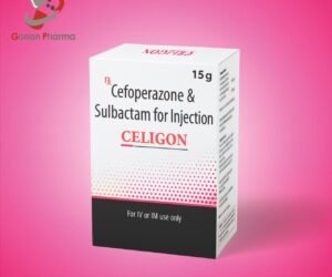 Celigon 1000mg/500mg Injection